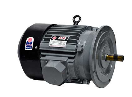 High Torque Motor for T.F.O. machine Frame-132M